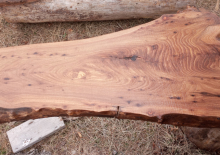 Elm Live Edge 102b