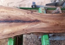 Elm Live Edge 103b