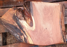 Oak Live Edge 3011b