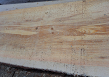 Pine Live Edge 1a 2in X 17 In By 8ft $50 Ea