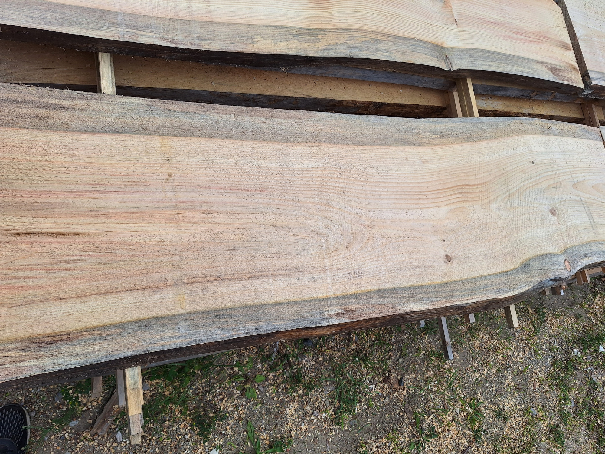 Live Edge Slabs For Sale