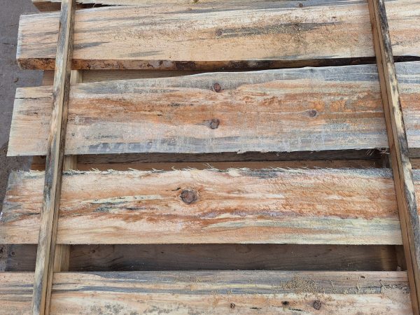 Blue Stain Pine Lumber